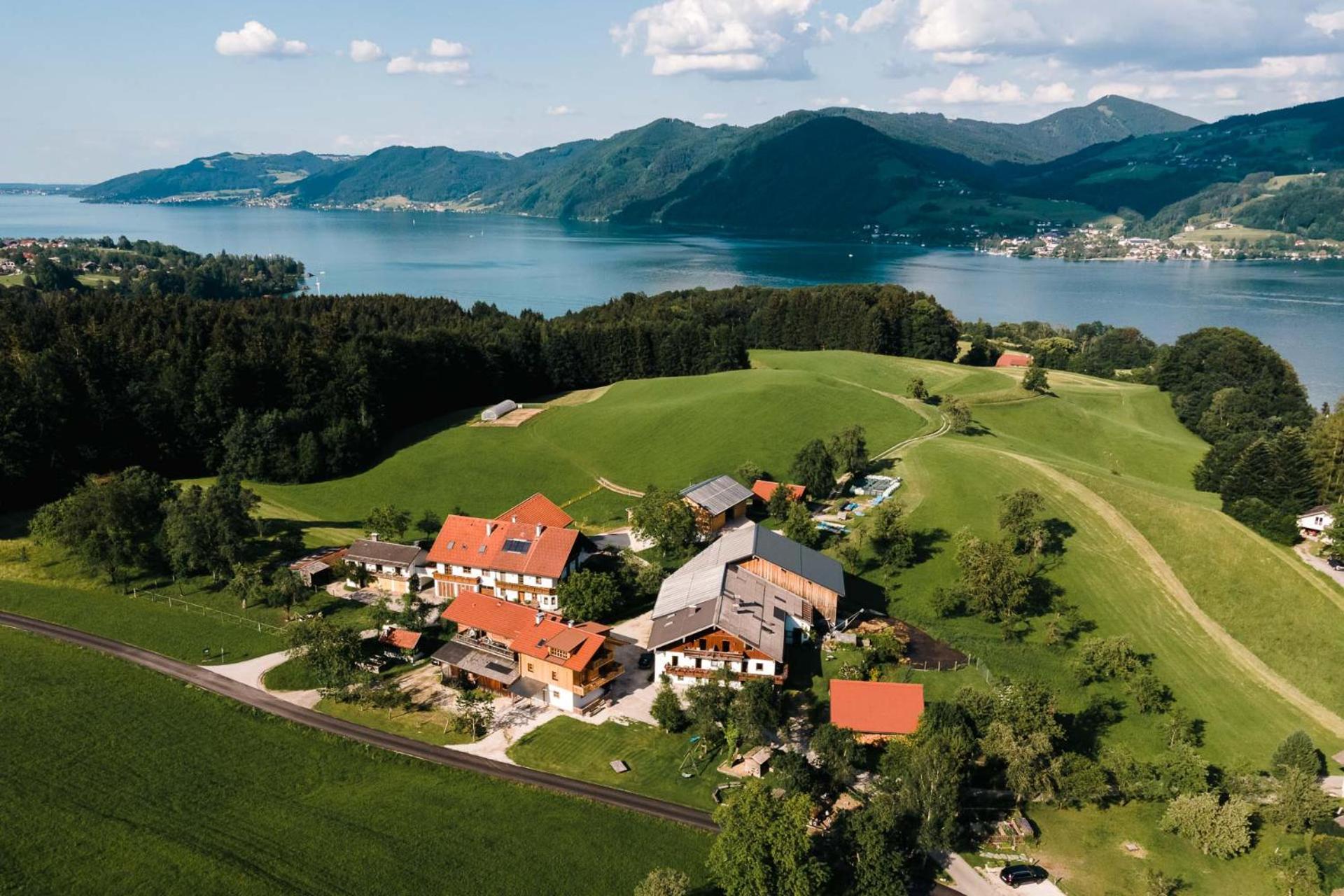 Ferienwohnung Grubinger Unterach am Attersee Exterior photo